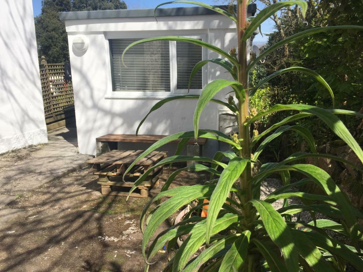 Appartamento The Boat House Carbis Bay Esterno foto